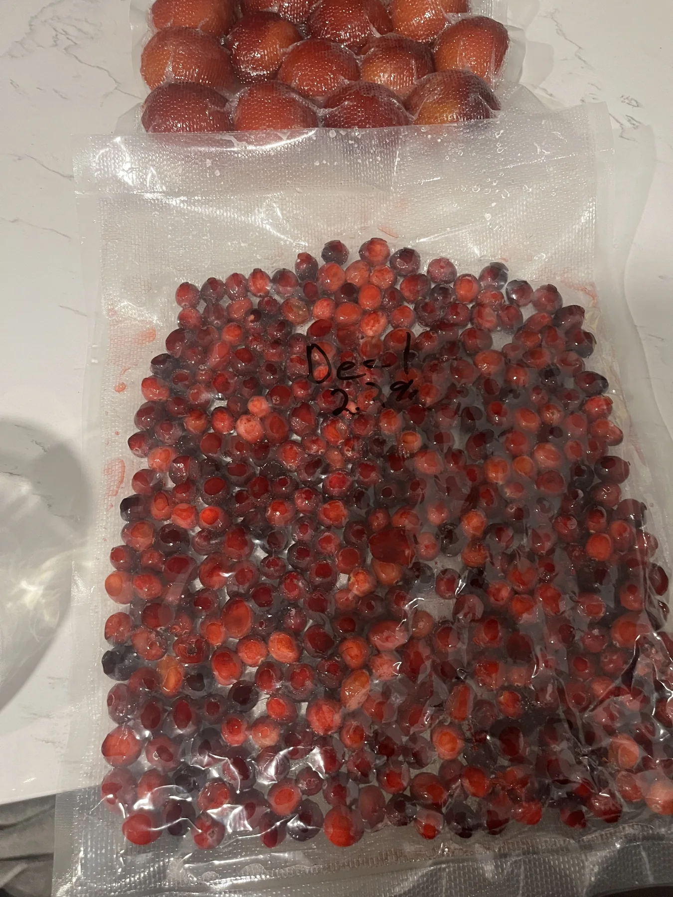 Cranberries prepared for a fermentation experiment
