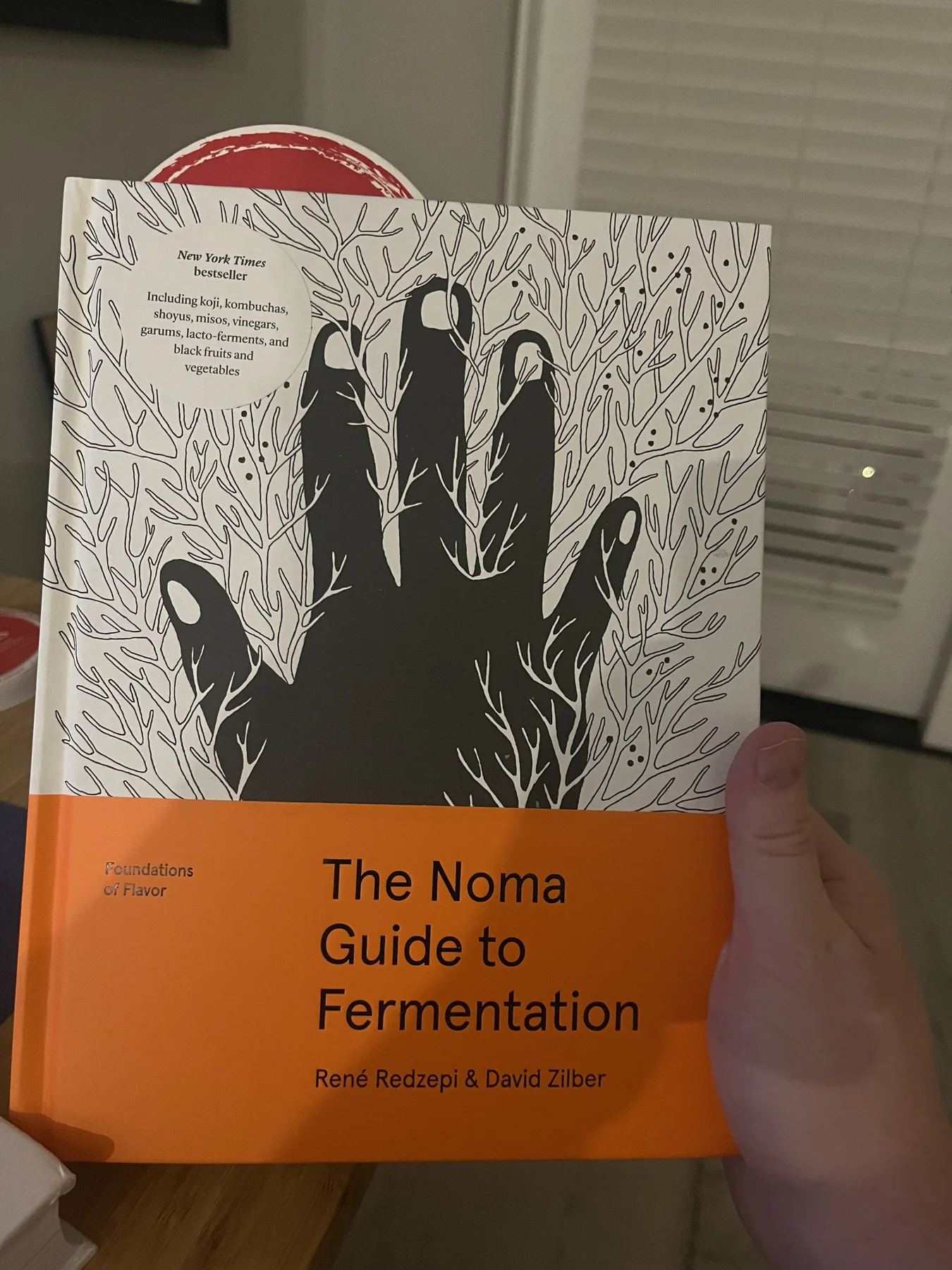 The Noma Guide to Fermentation book used by Oliver Makes Sauce